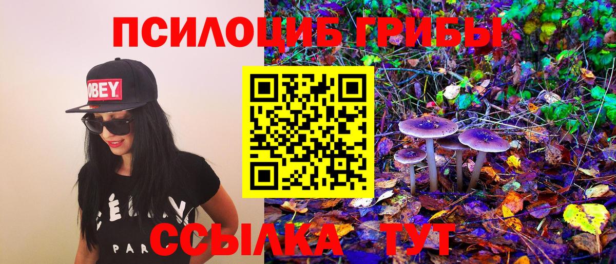 Псилоцибиновые грибы Psilocybine cubensis  Псилоцибиновые грибы Magic Shrooms  Благодарный  Вход с VPN 